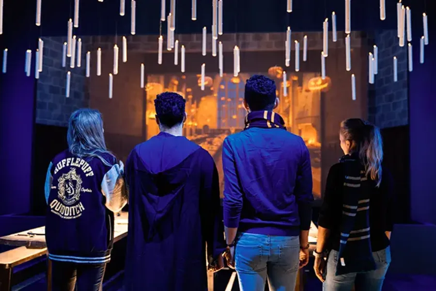 Harry Potter : L'Exposition